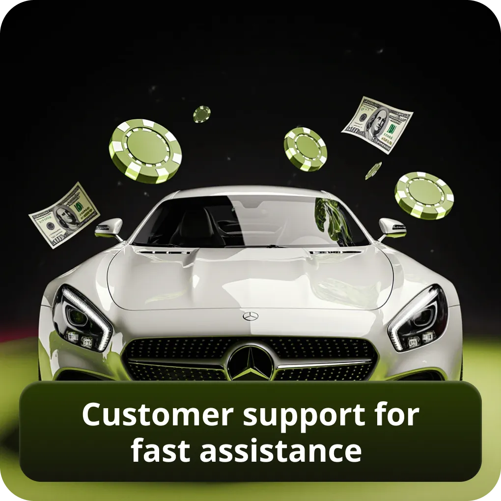 Customer support for fast assistance